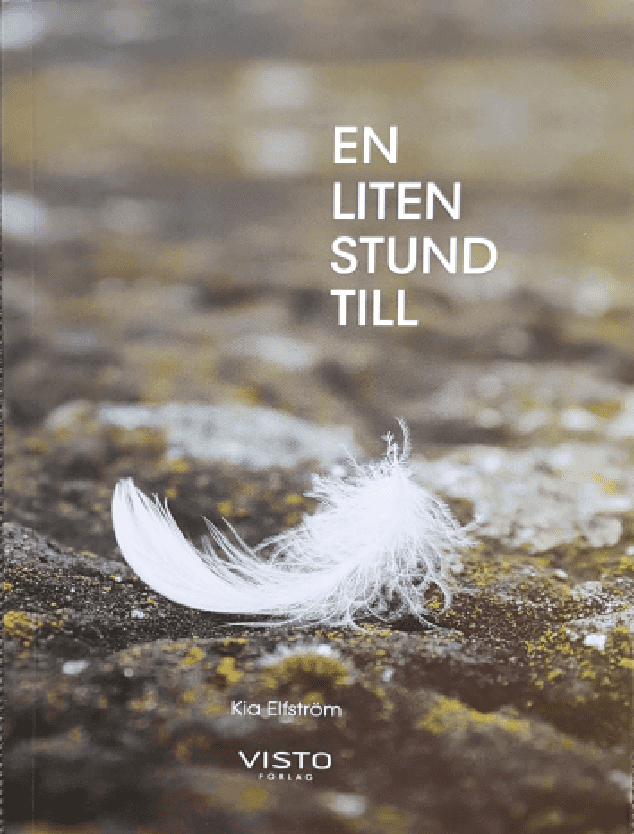 en liten stund till kia elfstrom book cover